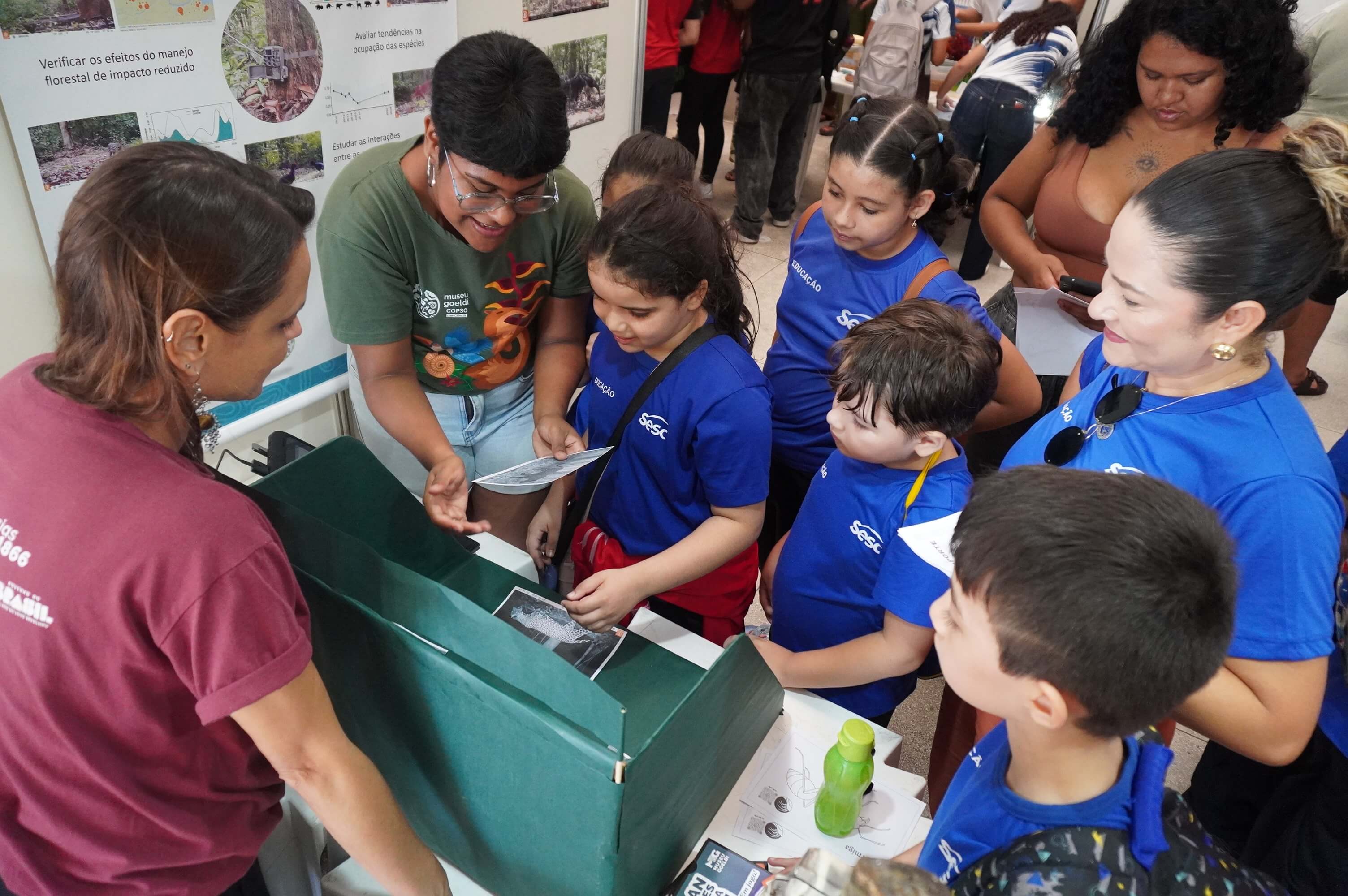 Um grupo de crianças observa fotos de onças dentro de uma caixa verde numa exposição de ciências