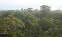Colóquio estimula conhecimento interdisciplinar sobre Amazônia