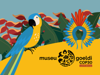 Com entrada gratuita, Museu Goeldi sedia mais de 200 eventos durante a COP30