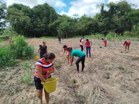 Criação do Mosaico Gurupi garante proteção da sociobiodiversidade na Amazônia Oriental