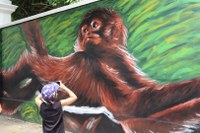 De pele nova: Museu Goeldi celebra a arte e a ciência estampadas nos seus muros