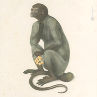 Devolução de Obra Rara localizada em Londres