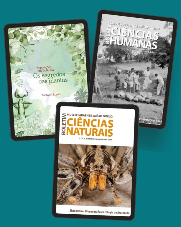 WhatsApp Image 2025-04-23 at 11.58.01.jpeg