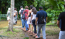 Domingo é dia de ciência: um passeio pela flora amazônica e seus símbolos