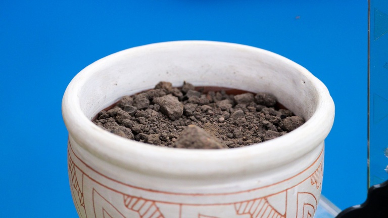 19-11-2025-tecnossolo-terrapreta-NIT (17).jpg