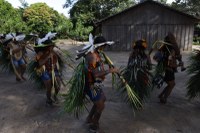 Etnias e línguas indígenas: pesquisadora do Museu Goeldi discute os dados do Pará no Censo de 2022 do IBGE