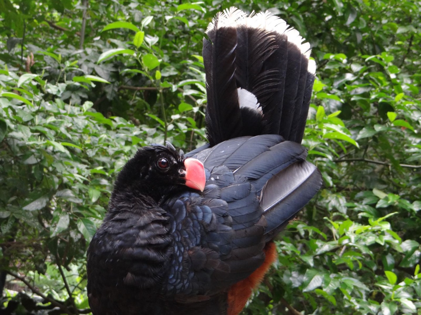 WhatsApp Image 2025-06-16 at 17.25.29.jpeg