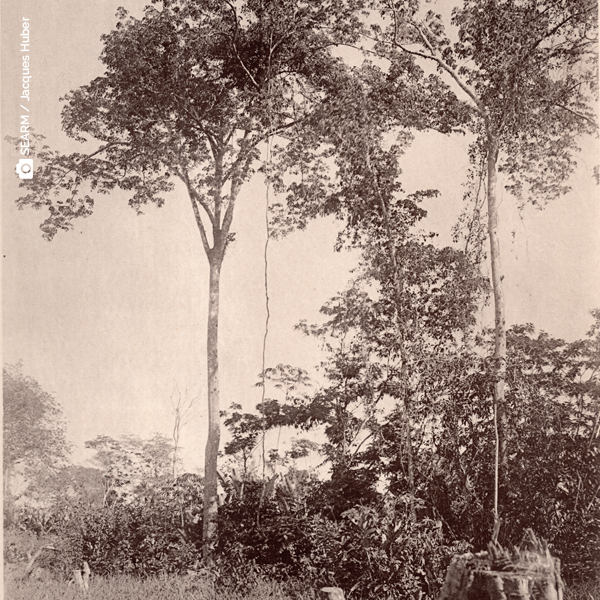 miniatura_06062024.png