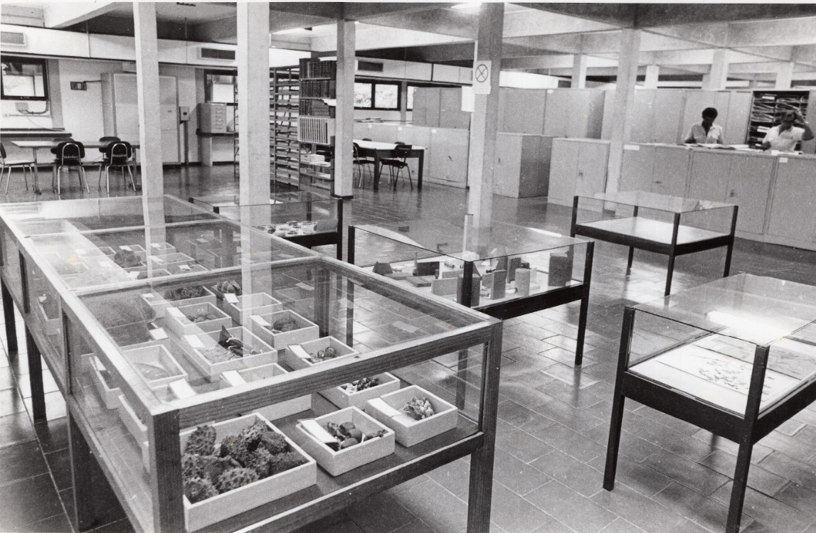 WhatsApp Image 2025-07-22 at 16.09.50.jpeg