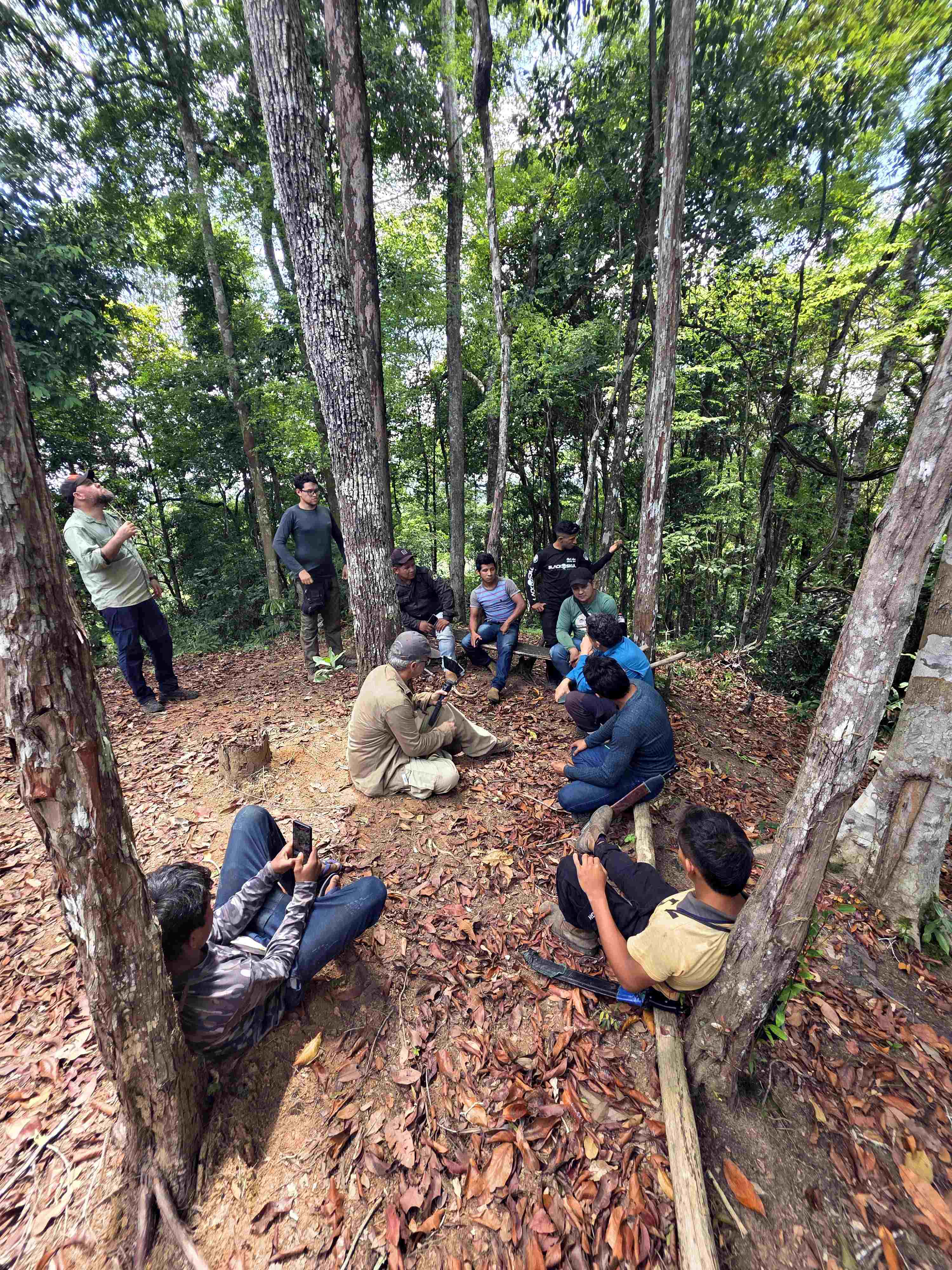 Grupo de homens está reunido em uma área de floresta cercada por árvores altas. Alguns estão sentado
