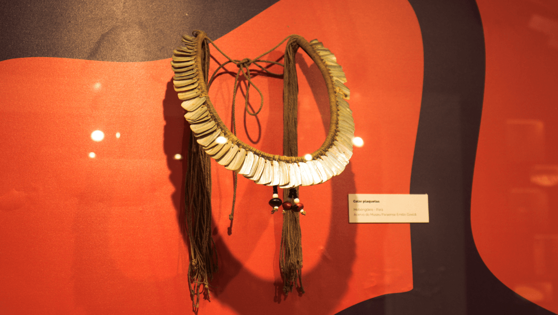 A vaga exige graduação em áreas afins às ciências humanas e é, prioritariamente, destinada a indígenas; não havendo candidaturas dessas pessoas, será remanejada à ampla concorrência. Além da bolsa mensal, há um auxílio anual de R$ 24,3 mil para insumos e atividades de pesquisa.