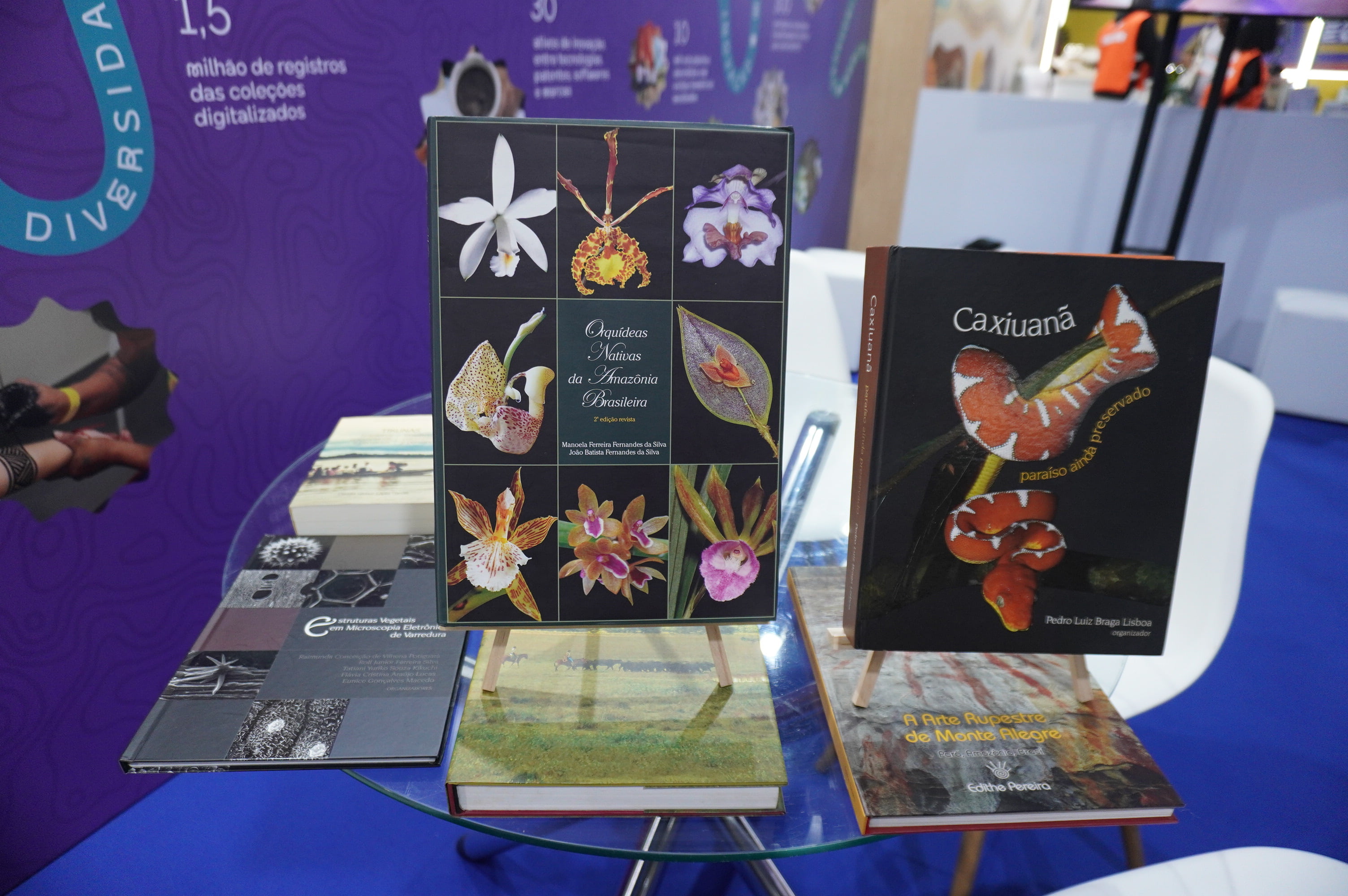 livros são expostos sobre mesa