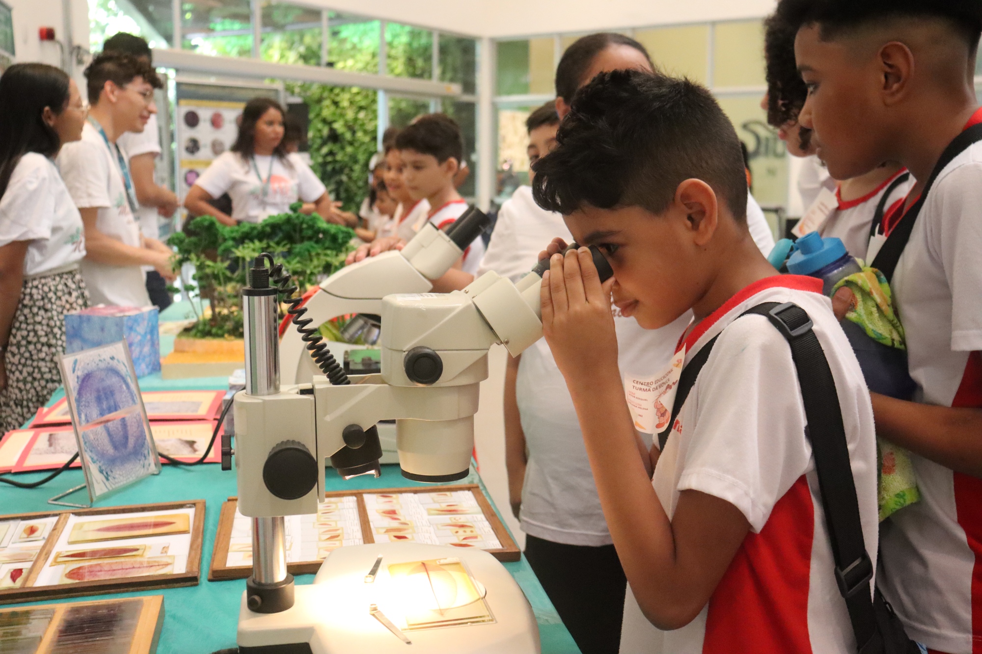 Menino de uniforme escolar observa uma amostra em um microscópio durante uma atividade educativa