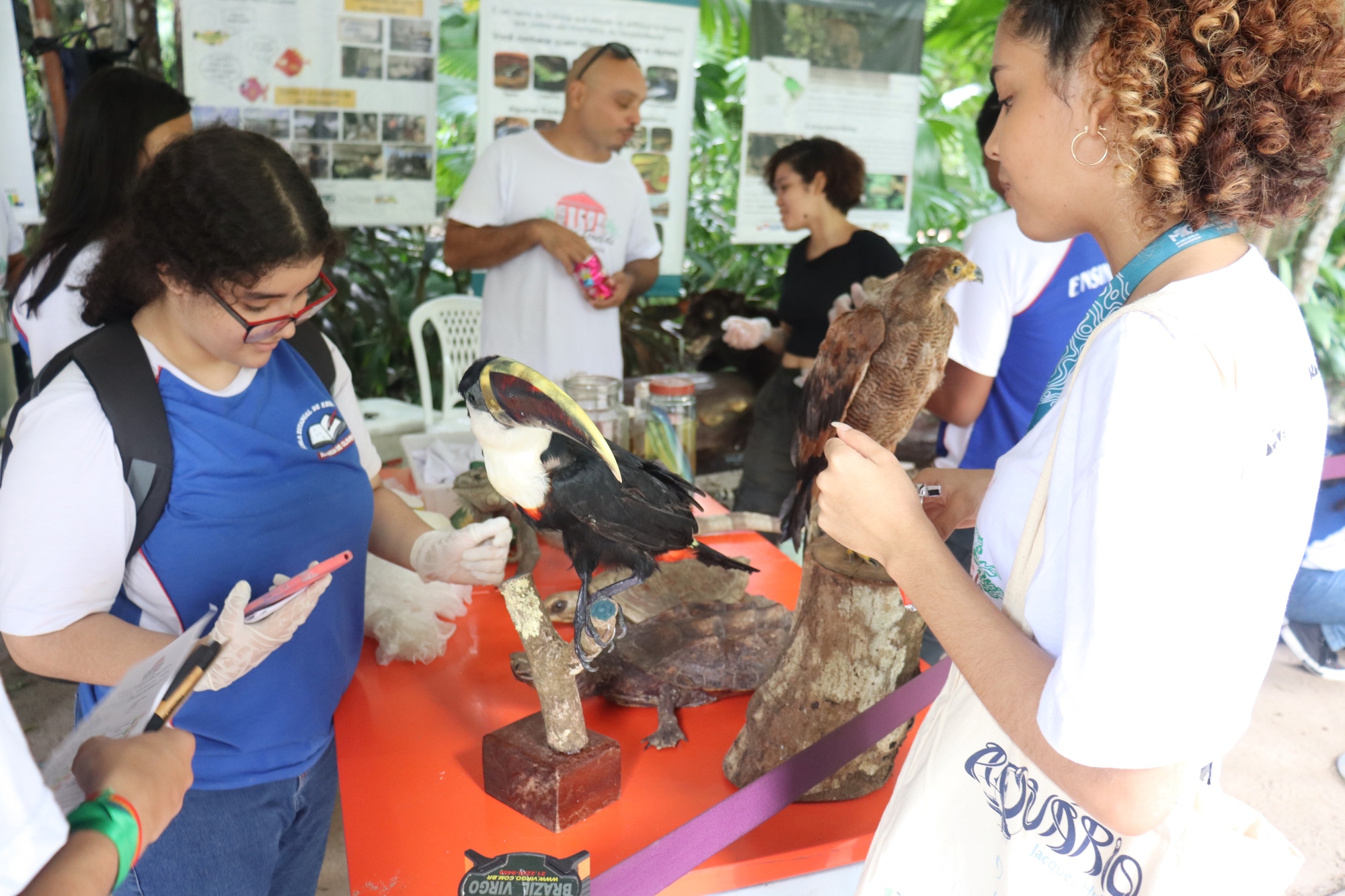 Estudantes observam exemplares de aves taxidermizadas expostos sobre uma mesa vermelha