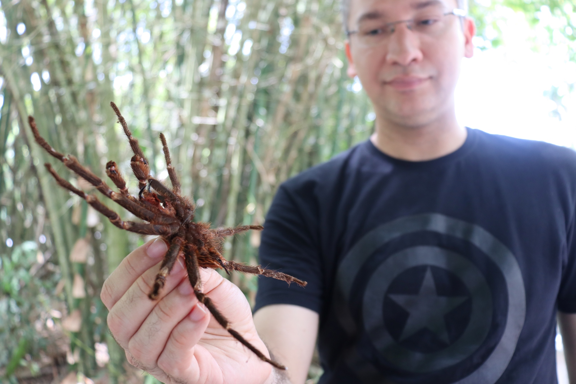 Homem segura uma grande aranha marrom com as mãos, aproximando-a da câmera