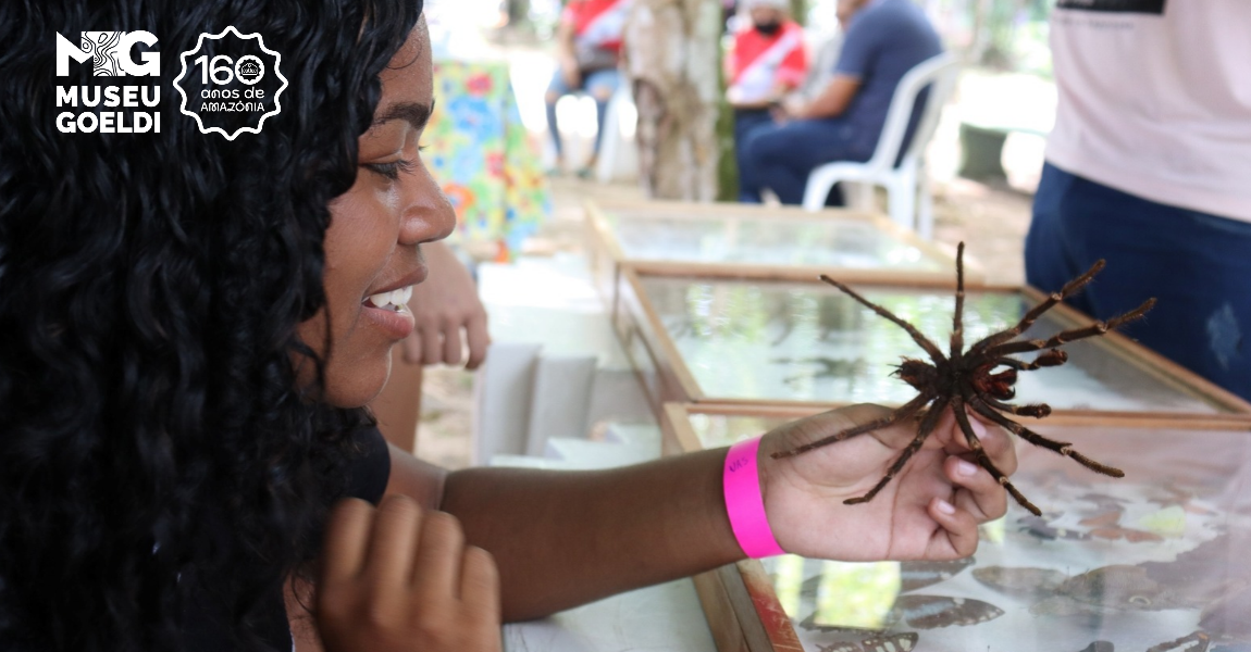 Menina negra observa aranha gigante em sua mão