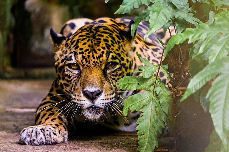 Foto Adrya Marinho-349.jpg