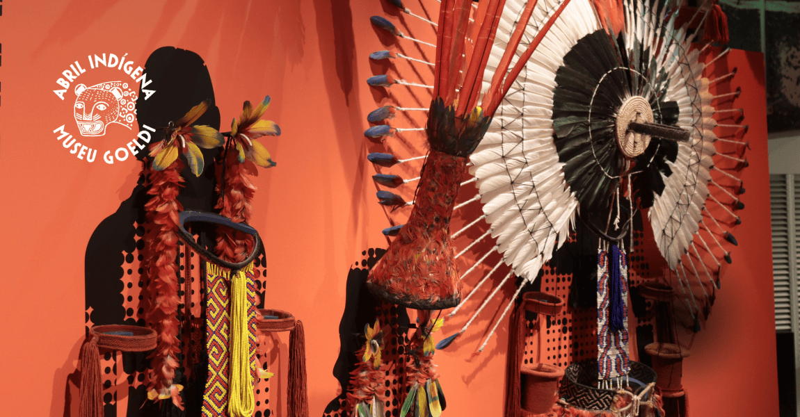 08-11-2025-BrasilTerraIndigena-Visitantes-MPEGAdryaMarinho-5 (1)-capa.png