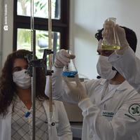 Museu Goeldi apresenta projetos inovadores a instituições e investidores suíços