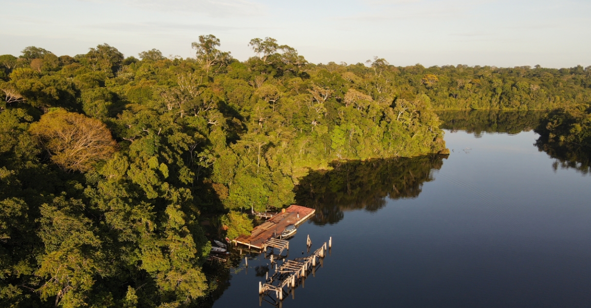 Museu Goeldi chega à 78ª SBPC, em Niterói–RJ, com seus “160 anos de Amazônia”