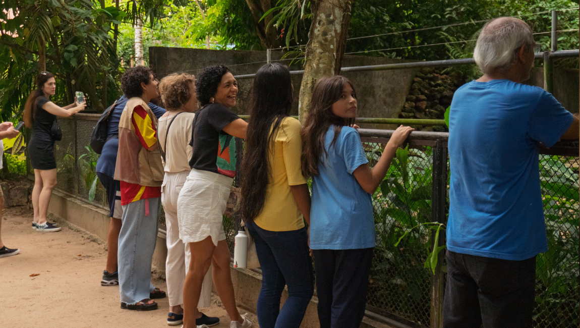 Template-Banner-PortalMG (23).png