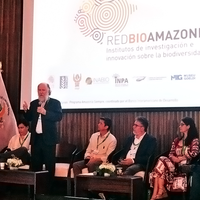 Museu Goeldi contribui com avanços de rede científica na Pan-amazônia