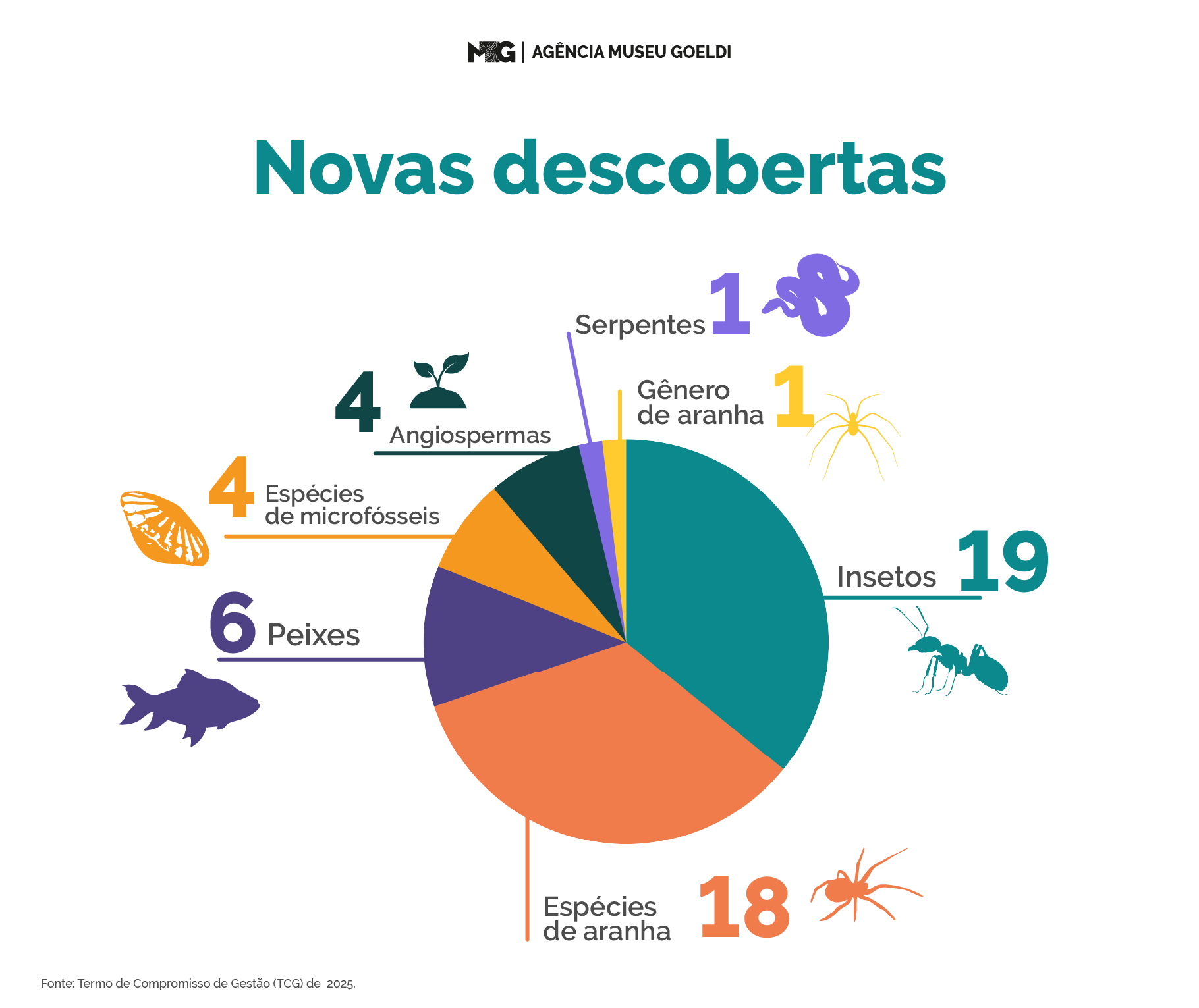 Um gráfico de pizza mostra as espécies que foram descobertas
