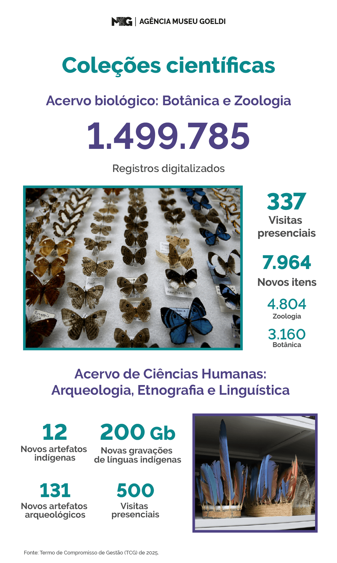 Infográfico mostra que o museu digitalizou 1,5 mihão de registros das suas coleções biológicas