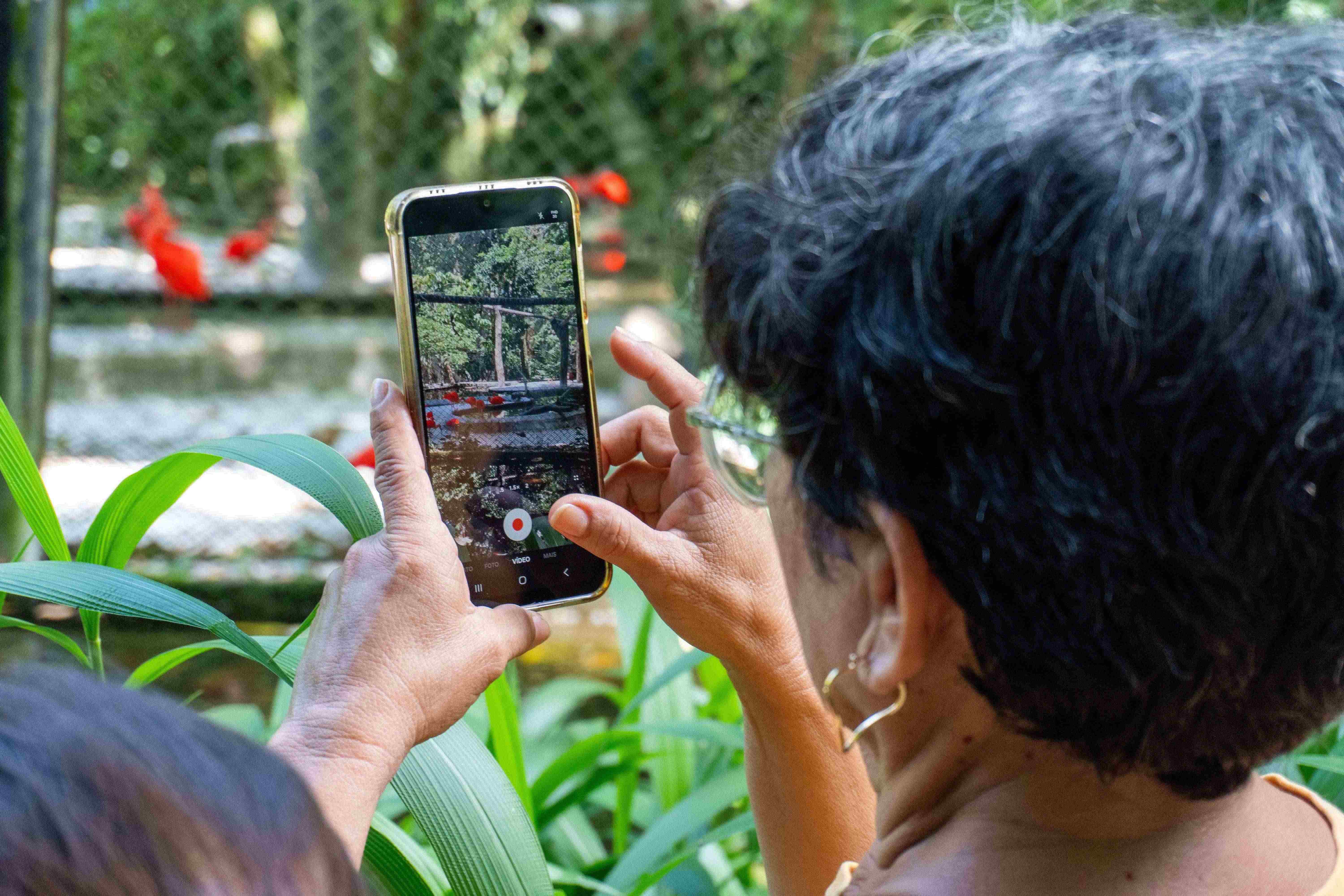 Mulher segura celular em frente ao viveiro dos guarás para registrar algumas fotos das aves.