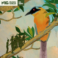 Museu Goeldi na 76ª Reunião Anual da SBPC