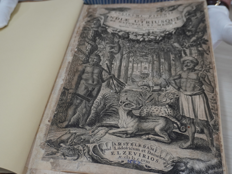 Miniatura - Agência Museu Goeldi.png