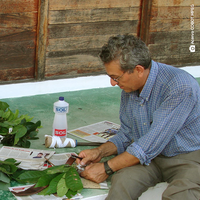 No Dia Nacional da Botânica, o Museu Goeldi homenageia os parabotânicos