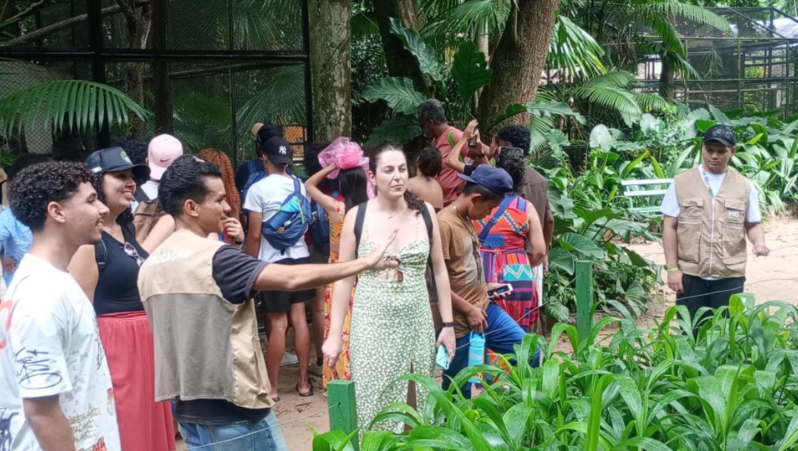 Template-Banner-PortalMG (3).png