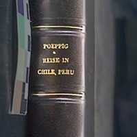 Nota à Imprensa sobre obra recuperada na Argentina