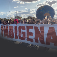 O povo Guarani-Kaiowá e seu conhecimento para a conservação