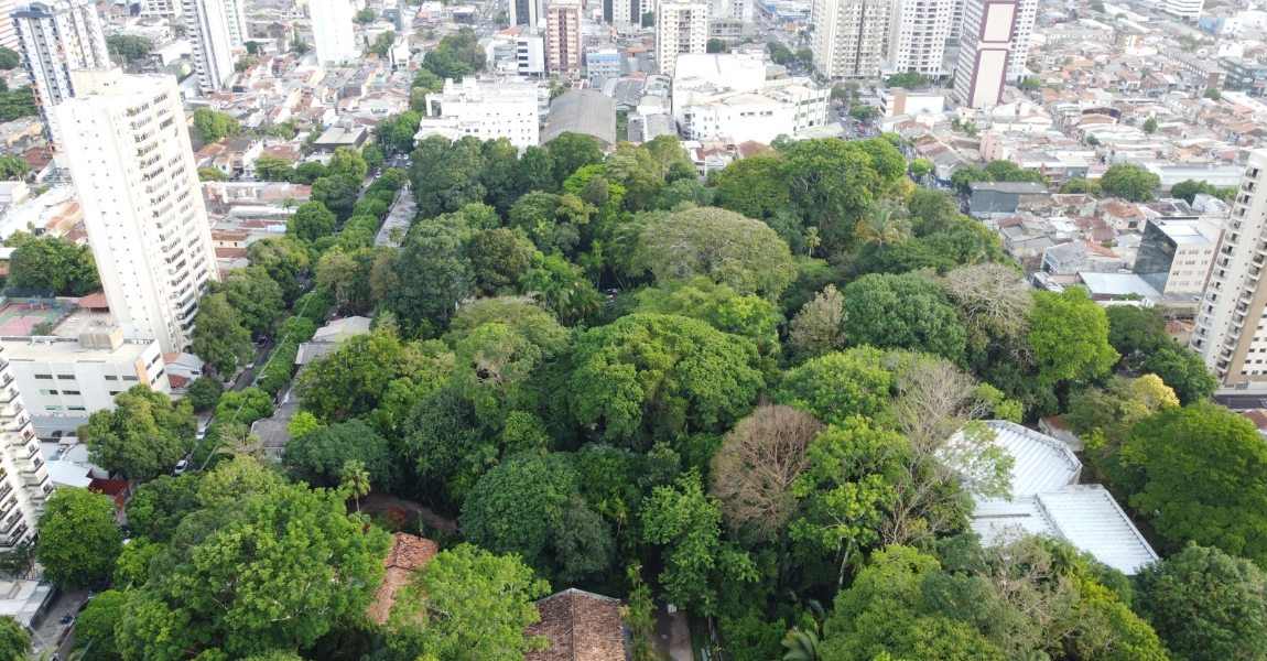 Museu Goeldi convida público para discutir sobre o verde nas cidades amazônicas e as mudanças climáticas
