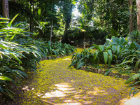 Parque Zoobotânico do Museu Goeldi altera seu funcionamento durante Círio de Nazaré