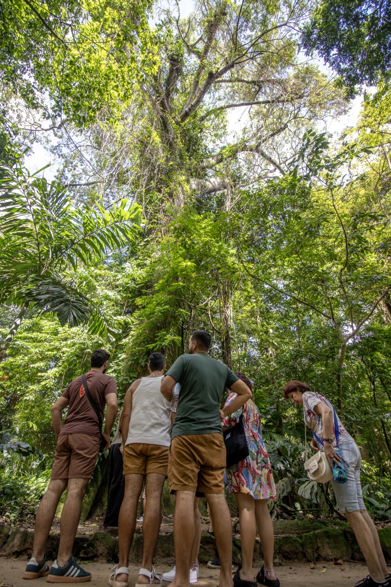 Um grupo de pessoas está parado diante de uma árvore alta num parque zoobotânico
