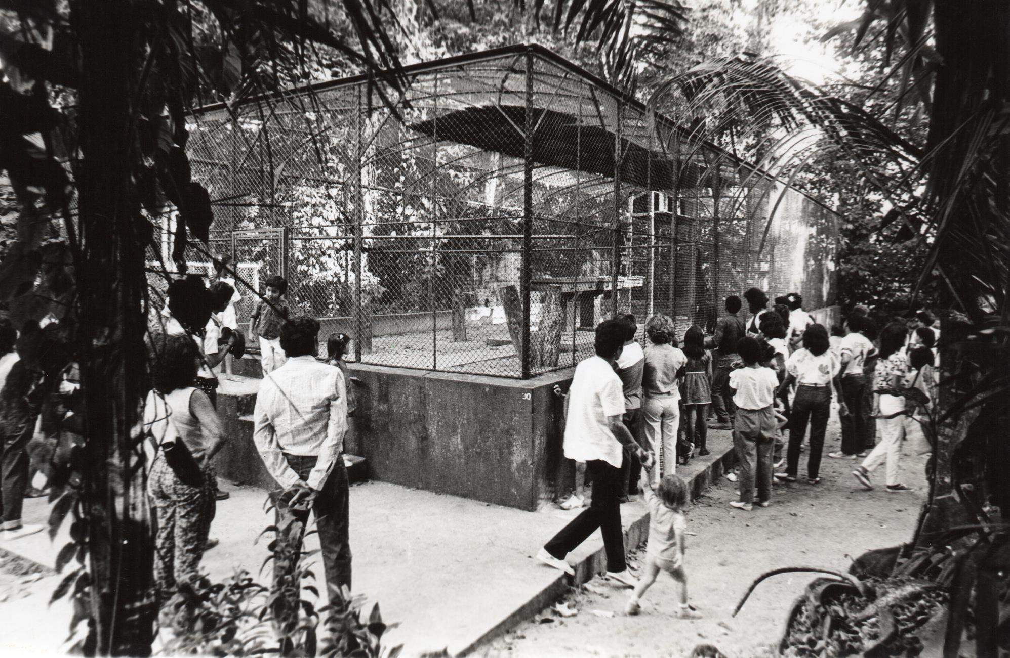 Foto antiga mostra visitantes no parque zoobotânico do Museu Goeldi