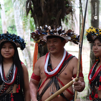 Pesquisa evidencia conhecimento Paiter-Suruí relacionado a primatas e à conservação da biodiversidade