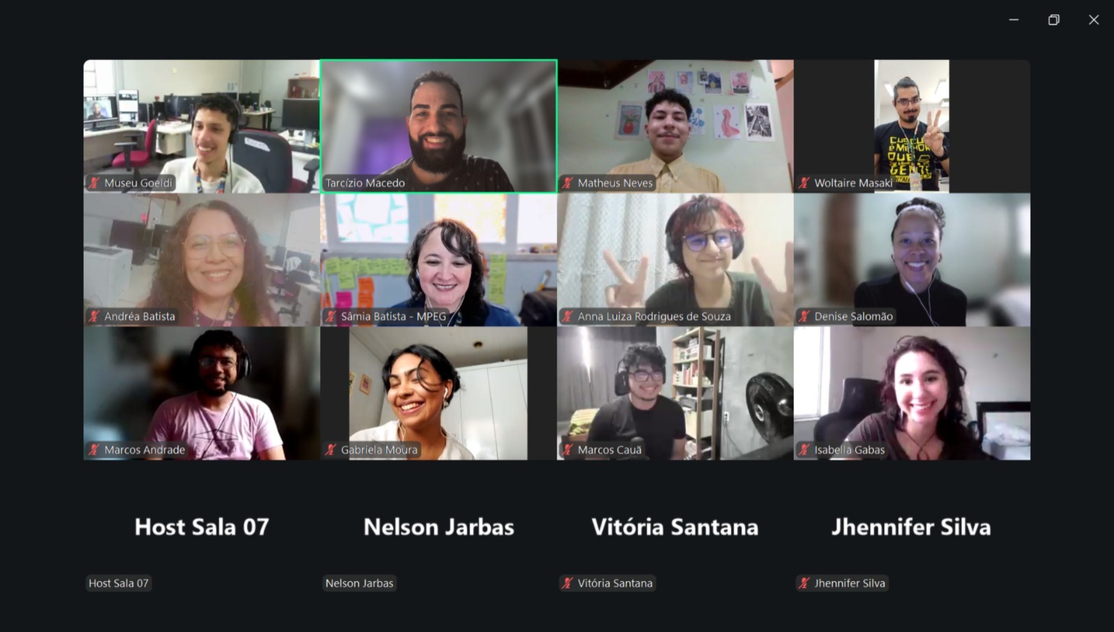 Um print que mostra a reunião online de estudantes e pesquisadores