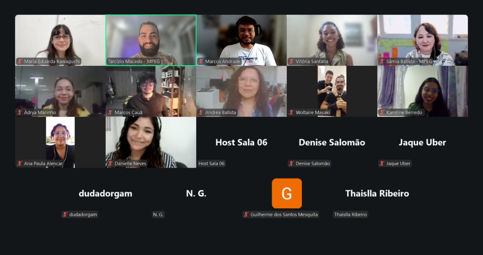 Um print que mostra participantes de uma reunião online