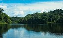 Pesquisas ecológicas de longa duração no Pantanal e na Amazônia