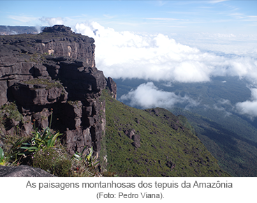 As paisagens montanhosas dos tepuis da Amazônia