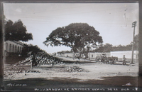 Presente de aniversário: Museu Goeldi estreia no Brasiliana Fotográfica com álbum histórico de Belém