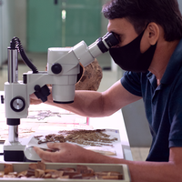 Programas de Pós-graduação do Museu Goeldi buscam Integração