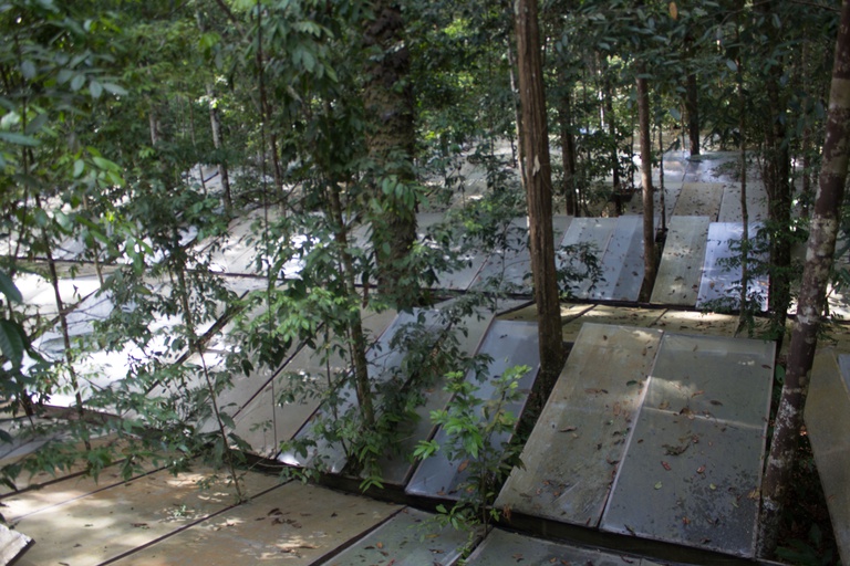 16-12-2025-MatériaESECAFLOR-MPEGJanineValente (4).jpg