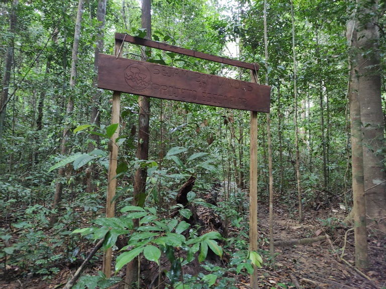 29-11-2025-esecaflor-caxiuana-MPEG-AndreaBatista (5).jpg