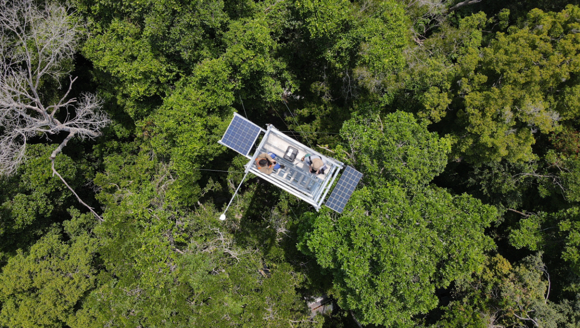 Estudo sobre a seca na floresta, desenvolvido pela UFPA em parceria com o Museu Goeldi e com outras instituições, aponta resultados positivos e negativos dos efeitos das mudanças do clima. De acordo com o pesquisador Antonio Carlos Lôla da Costa, a floresta se adaptaria, mas as consequências incluem a redução do porte de árvores e implicam mudanças em ciclos hidrológico e do carbono.