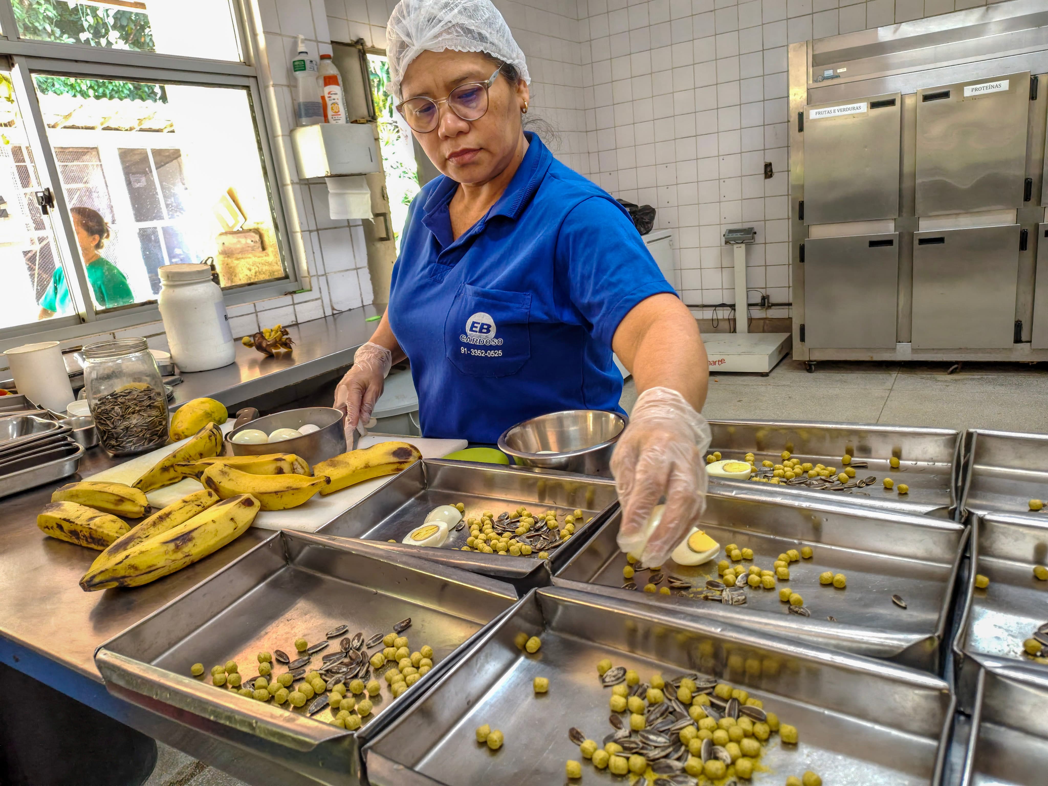 Uma mulher na cozinha prepara a alimentação de animais